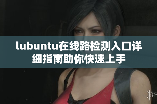 lubuntu在線路檢測入口詳細(xì)指南助你快速上手