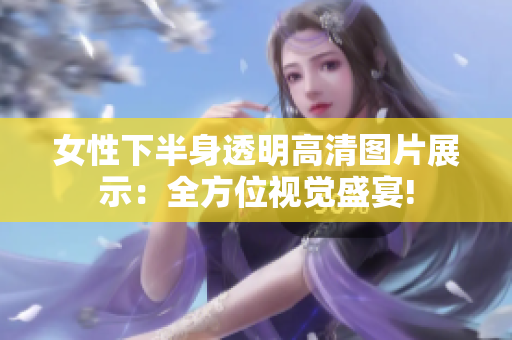 女性下半身透明高清圖片展示：全方位視覺(jué)盛宴!
