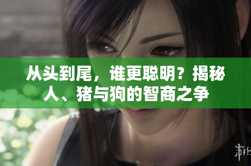 從頭到尾，誰(shuí)更聰明？揭秘人、豬與狗的智商之爭(zhēng)