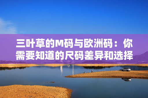 三葉草的M碼與歐洲碼：你需要知道的尺碼差異和選擇建議