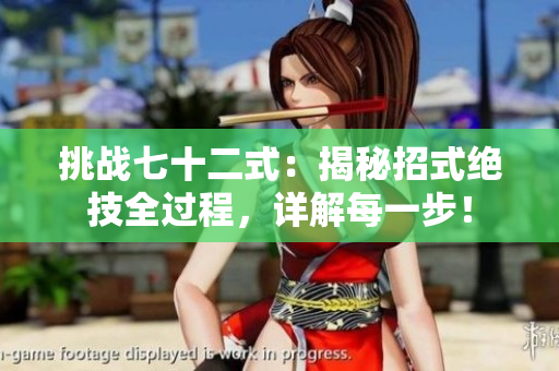 挑戰(zhàn)七十二式：揭秘招式絕技全過程，詳解每一步！