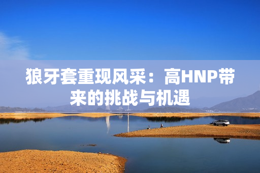 狼牙套重現(xiàn)風(fēng)采：高HNP帶來的挑戰(zhàn)與機遇