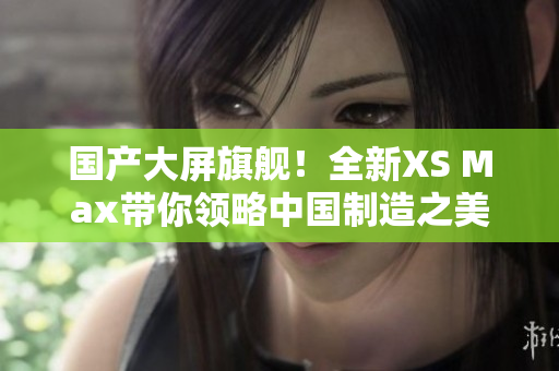 國產大屏旗艦！全新XS Max帶你領略中國制造之美