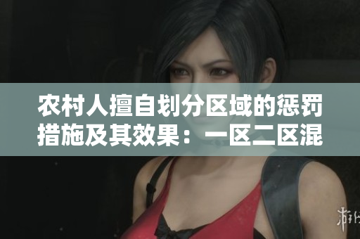 農(nóng)村人擅自劃分區(qū)域的懲罰措施及其效果：一區(qū)二區(qū)混亂引發(fā)的管理挑戰(zhàn)