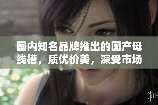 國內(nèi)知名品牌推出的國產(chǎn)母線槽，質(zhì)優(yōu)價(jià)美，深受市場青睞