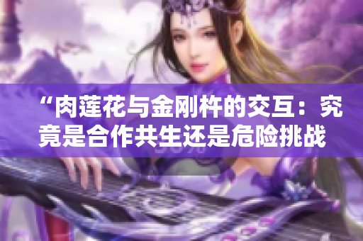 “肉蓮花與金剛杵的交互：究竟是合作共生還是危險(xiǎn)挑戰(zhàn)？”