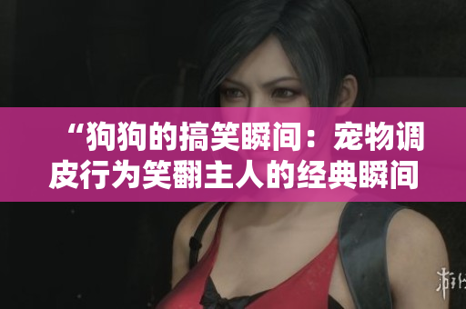 “狗狗的搞笑瞬間：寵物調(diào)皮行為笑翻主人的經(jīng)典瞬間！”