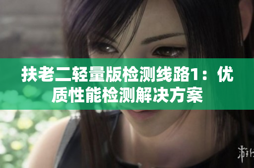 扶老二輕量版檢測線路1：優(yōu)質(zhì)性能檢測解決方案