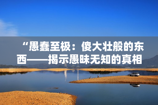 “愚蠢至極：傻大壯般的東西——揭示愚昧無知的真相！”