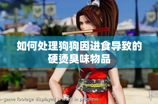 如何處理狗狗因進(jìn)食導(dǎo)致的硬燙臭味物品