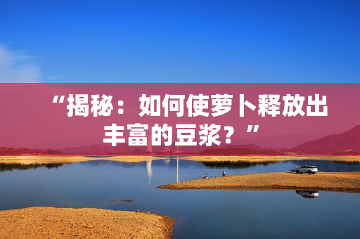 “揭秘：如何使蘿卜釋放出豐富的豆?jié){？”