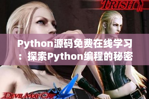 Python源碼免費(fèi)在線學(xué)習(xí)：探索Python編程的秘密
