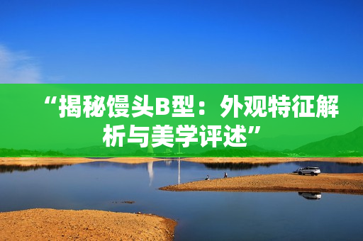 “揭秘饅頭B型：外觀特征解析與美學(xué)評(píng)述”