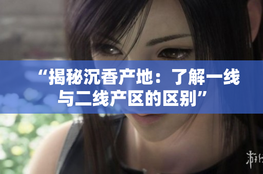 “揭秘沉香產(chǎn)地：了解一線與二線產(chǎn)區(qū)的區(qū)別”
