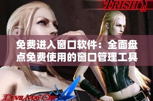 免費進(jìn)入窗口軟件：全面盤點免費使用的窗口管理工具