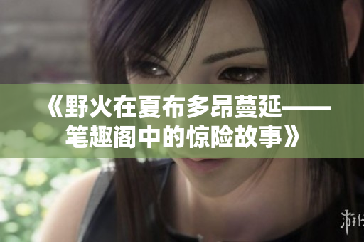 《野火在夏布多昂蔓延——筆趣閣中的驚險(xiǎn)故事》