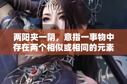 兩陽夾一陰，意指一事物中存在兩個相似或相同的元素，而另一元素與之不同。