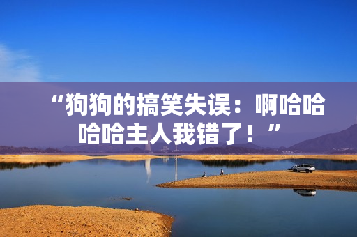 “狗狗的搞笑失誤：啊哈哈哈哈主人我錯(cuò)了！”