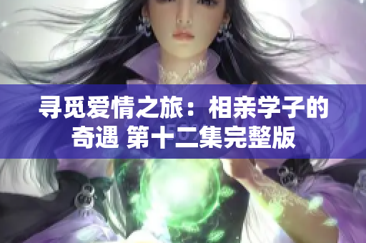 尋覓愛(ài)情之旅：相親學(xué)子的奇遇 第十二集完整版