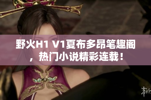 野火H1 V1夏布多昂筆趣閣，熱門(mén)小說(shuō)精彩連載！