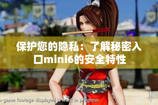 保護(hù)您的隱私：了解秘密入口mini6的安全特性