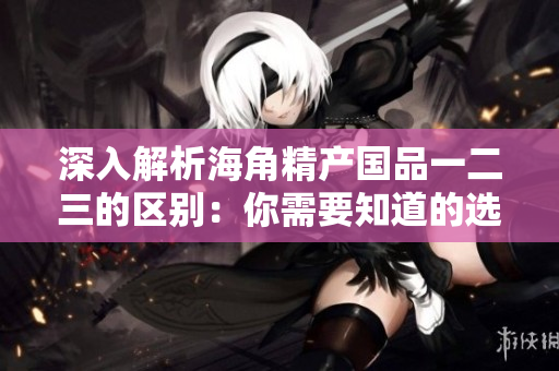 深入解析海角精產(chǎn)國品一二三的區(qū)別：你需要知道的選擇指南