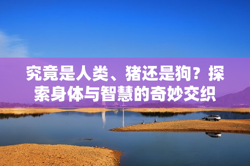 究竟是人類、豬還是狗？探索身體與智慧的奇妙交織