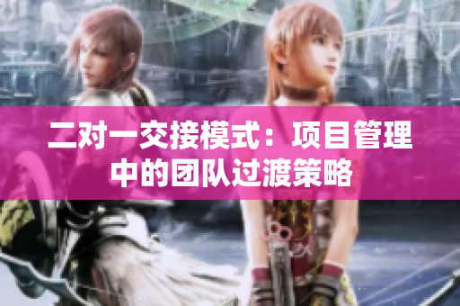二對一交接模式：項(xiàng)目管理中的團(tuán)隊(duì)過渡策略
