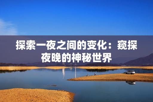 探索一夜之間的變化：窺探夜晚的神秘世界