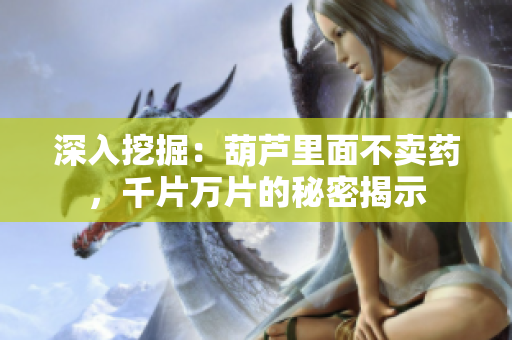 深入挖掘：葫蘆里面不賣藥，千片萬片的秘密揭示