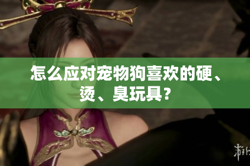 怎么應(yīng)對(duì)寵物狗喜歡的硬、燙、臭玩具？