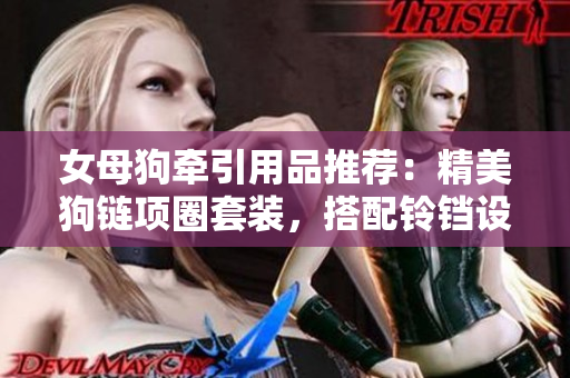 女母狗牽引用品推薦：精美狗鏈項(xiàng)圈套裝，搭配鈴鐺設(shè)計(jì)，輕松引導(dǎo)寵物散步