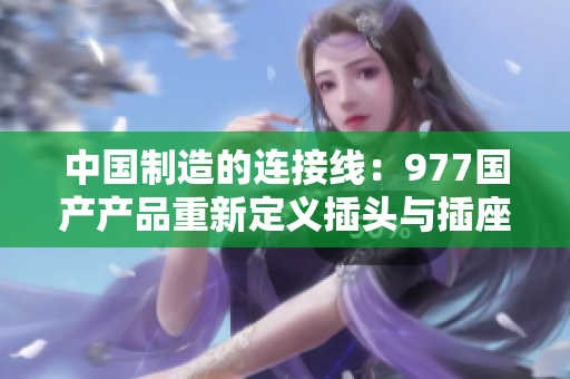 中國制造的連接線：977國產(chǎn)產(chǎn)品重新定義插頭與插座