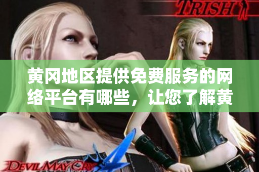 黃岡地區(qū)提供免費服務(wù)的網(wǎng)絡(luò)平臺有哪些，讓您了解黃岡網(wǎng)絡(luò)資源的獨特魅力