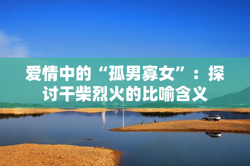 愛情中的“孤男寡女”：探討干柴烈火的比喻含義