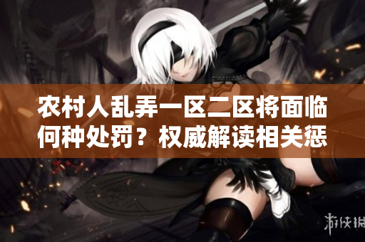 農(nóng)村人亂弄一區(qū)二區(qū)將面臨何種處罰？權威解讀相關懲戒政策