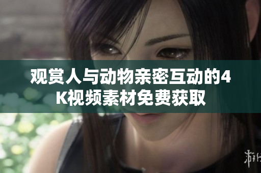 觀賞人與動(dòng)物親密互動(dòng)的4K視頻素材免費(fèi)獲取