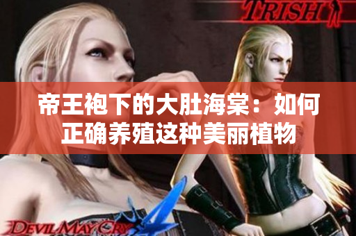 帝王袍下的大肚海棠：如何正確養(yǎng)殖這種美麗植物