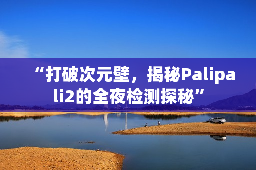 “打破次元壁，揭秘Palipali2的全夜檢測探秘”
