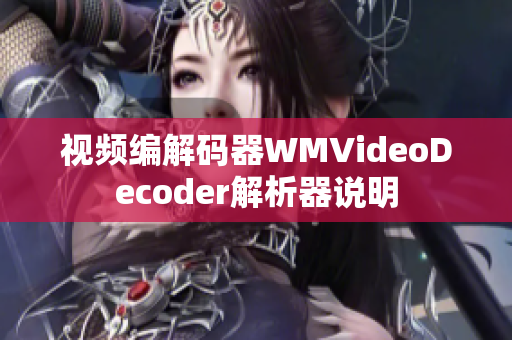 視頻編解碼器WMVideoDecoder解析器說(shuō)明