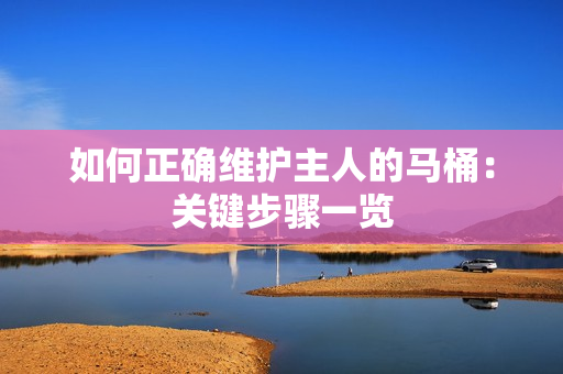 如何正確維護主人的馬桶：關鍵步驟一覽