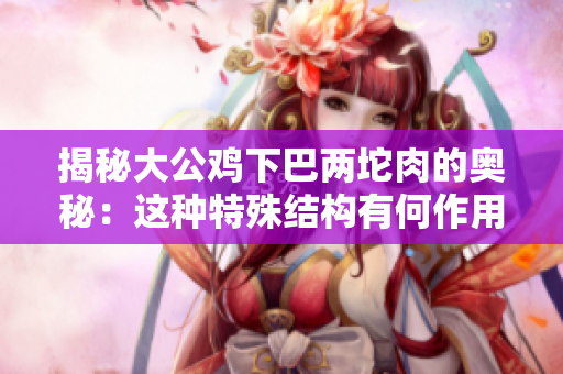 揭秘大公雞下巴兩坨肉的奧秘：這種特殊結(jié)構(gòu)有何作用？