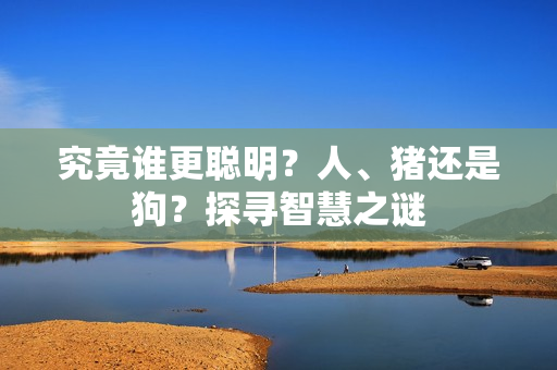 究竟誰更聰明？人、豬還是狗？探尋智慧之謎