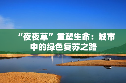 “夜夜草”重塑生命：城市中的綠色復(fù)蘇之路