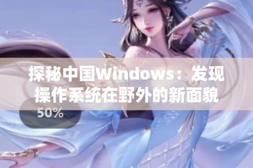 探秘中國Windows：發(fā)現(xiàn)操作系統(tǒng)在野外的新面貌