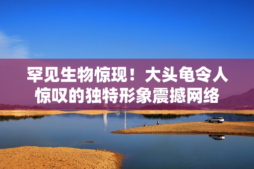 罕見生物驚現(xiàn)！大頭龜令人驚嘆的獨(dú)特形象震撼網(wǎng)絡(luò)
