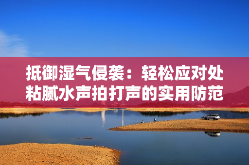 抵御濕氣侵襲：輕松應(yīng)對(duì)處粘膩水聲拍打聲的實(shí)用防范策略