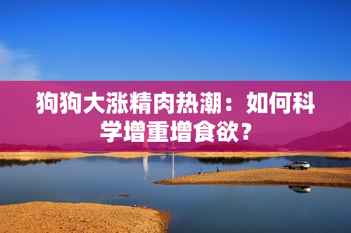 狗狗大漲精肉熱潮：如何科學(xué)增重增食欲？