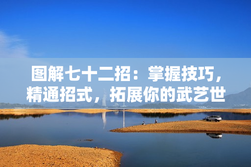 圖解七十二招：掌握技巧，精通招式，拓展你的武藝世界