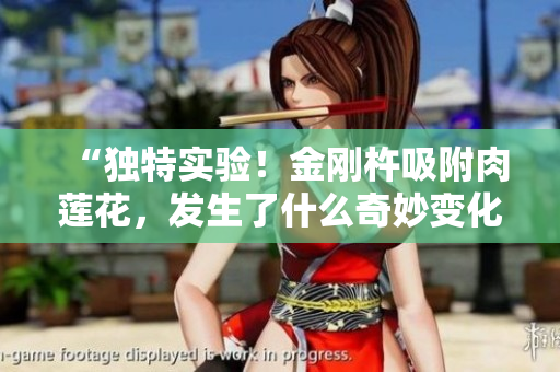 “獨(dú)特實(shí)驗(yàn)！金剛杵吸附肉蓮花，發(fā)生了什么奇妙變化？”